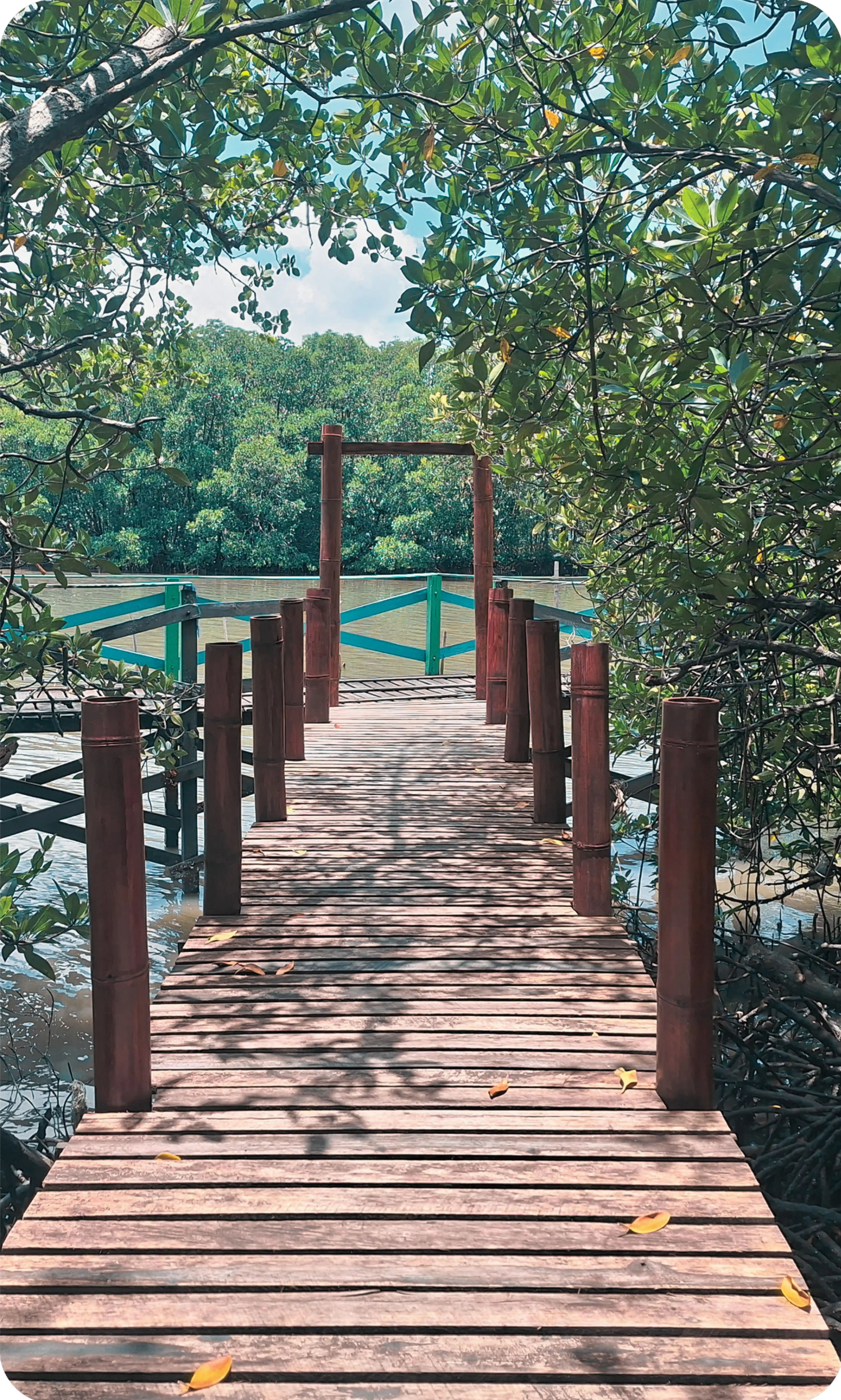 Boardwalk Kayu (Fixed)